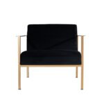 Atticus Lounge Chair with Gold Accent Finish and Velvet Upholstery