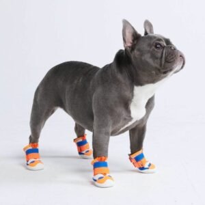 Orange & Blue Hot Pavement Pawtector Dog Shoes