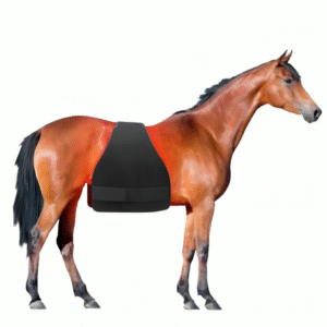 Horse Red Light Therapy Multi-Use Pad | Fetchzio | Fetchzio