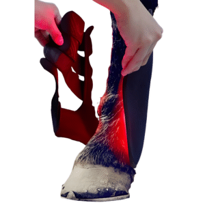 Equine Red Infrared Light Therapy Leg Wrap | Fetchzio