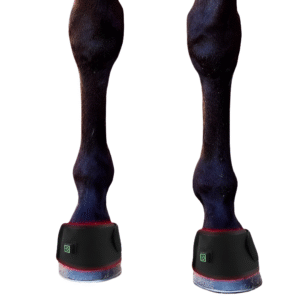 Equine Red Infrared Light Therapy Hoof Wrap | Fetchzio