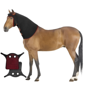 Equine Red Light Therapy Poll Cap | Fetchzio