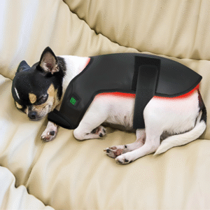 Red Light Therapy Mat for Dogs and Cat at Home | Fetchzio
