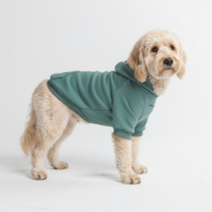 Teal Essential Dog Hoodie