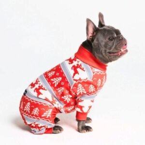 Winter Wonderland Dog Christmas Pajama