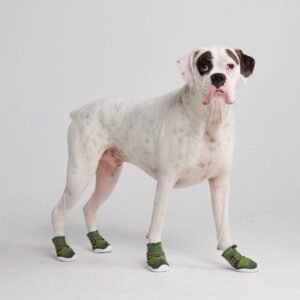 Green Hot Pavement Pawtector Dog Shoes