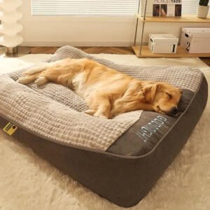Orthopedic Large Dog Cushion Bed – Spine & Joint Support (XL–3XL) | Fetchzio