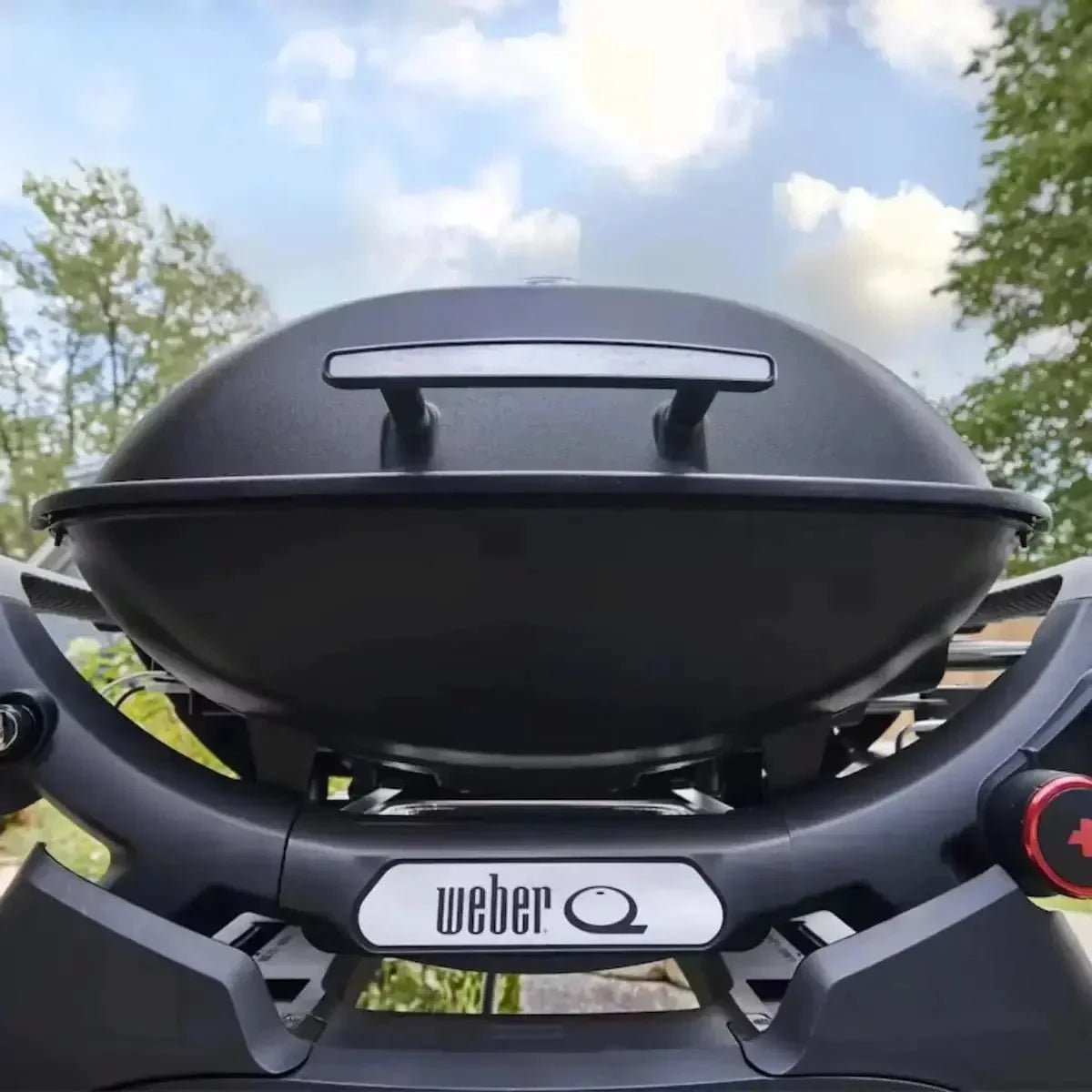 weber-q-2800n-gas-bbq-grill-midnight-black-outdoor-grill-1178198058.jpg